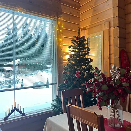 Amero Purnu 4 * Koli (Lieksa)